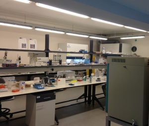 מעבדה ראשית 300x254 - מעבדה ראשית